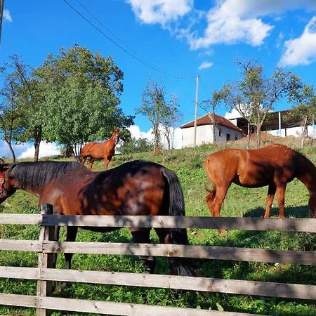 Apartamento Poljoprivredno Turisticko Domacinstvo Deguric Valjevo Exterior foto