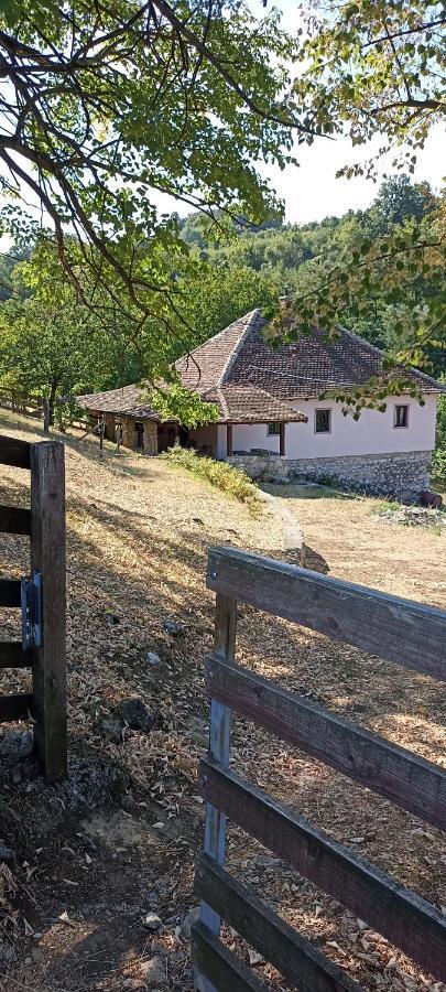 Apartamento Poljoprivredno Turisticko Domacinstvo Deguric Valjevo Exterior foto