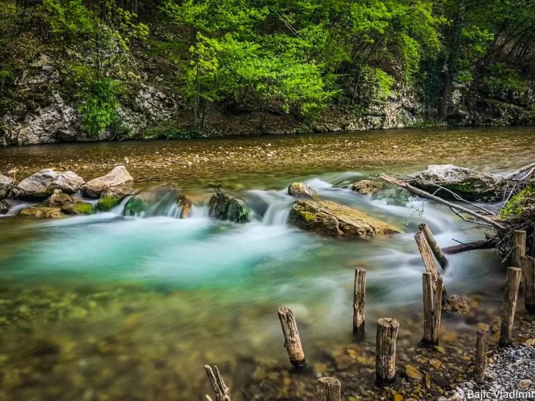 Apartamento Poljoprivredno Turisticko Domacinstvo Deguric Valjevo Exterior foto